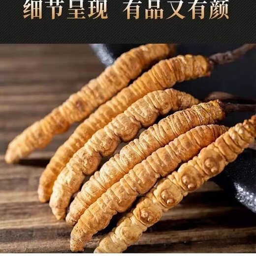 
Authentic Cordyceps gift box genuine dry goods Mid-Autumn Festival gift high-end gifts for elders and parents nutritional products Bamboo pattern carry-on box large strips of Cordyceps 10 pieces
