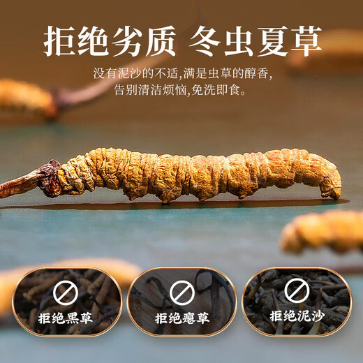 For use in the inner court, Beijing Tongrentang’s first-crop golden grass, Cordyceps sinensis 5g dried cordyceps soaked in wine and soup nourishing gift box