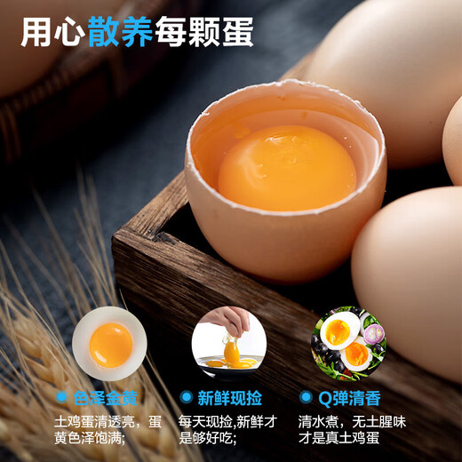 Local eggs, grain-fed, farm-raised fresh eggs, about 40g, breakfast Jingdong fresh soft-boiled eggs, 10 pieces, 400g Local eggs, grain-fed, farm-raised fresh eggs, about 40g, breakfast Jingdong fresh soft-boiled eggs, 10 pieces, 400g