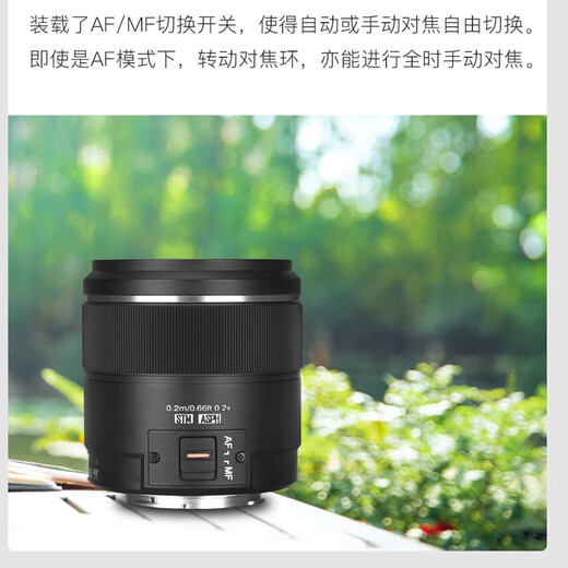 YONGNUO M43 mirrorless camera Panasonic Olympus large aperture automatic fixed focus lens portrait street photography