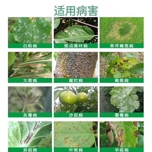 Bonsec 25% pyraclostrobin azoxystrobin scab powdery mildew anthracnose pesticide fungicide