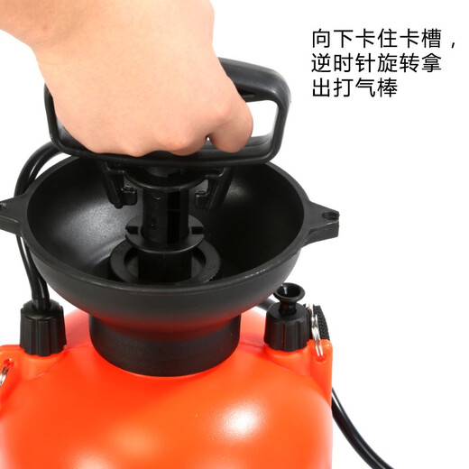 Shixia (seesa) Shixia brand watering kettle gardening watering kettle for watering flowers and spraying water pesticide sprayer agricultural manual air pressure sprayer 5L with stainless steel pole