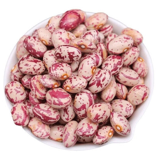 Northeastern Sparrow Egg Bean Seed Red Gold Hook Gold Hook Northeast Oil Bean Seed Flour Bean Bean Vegetable Seed Two Packs About 130 + Song Fertilizer