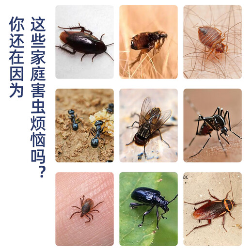 Donghe Biotech 40% dinotefuran cockroach medicine removes cockroaches, cockroaches, flies and bed bugs, household indoor hygiene insecticide 10g