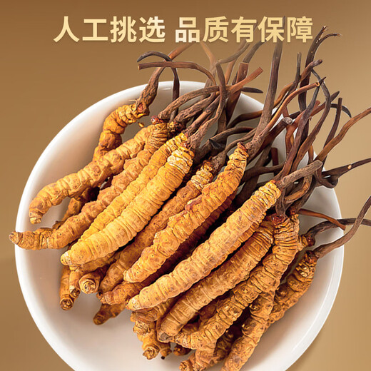 雷允上冬虫夏草3.2根/g 100g约320根虫草礼盒送长辈送领导礼品