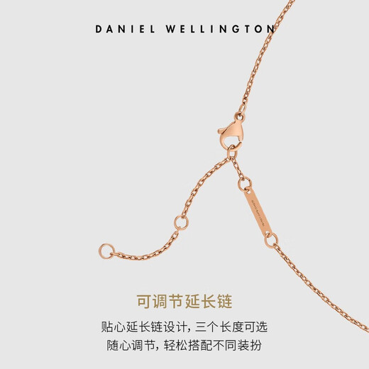 Daniel Wellington DW necklace for women, fashionable jewelry with adjustable length and contrasting colors, birthday gift for girlfriend DW00400304 silver white