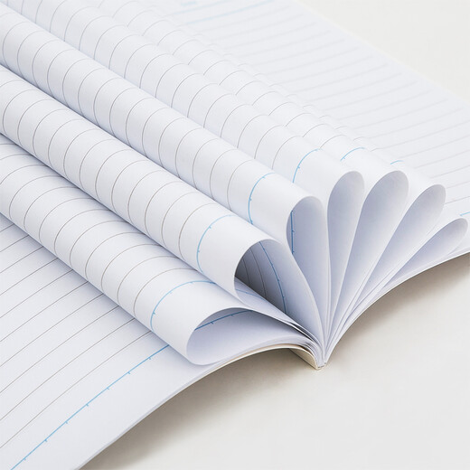 Deli (deli) 20 A5/38 sheets wireless perfect bound soft copy notepad/work notebook/diary office 7983