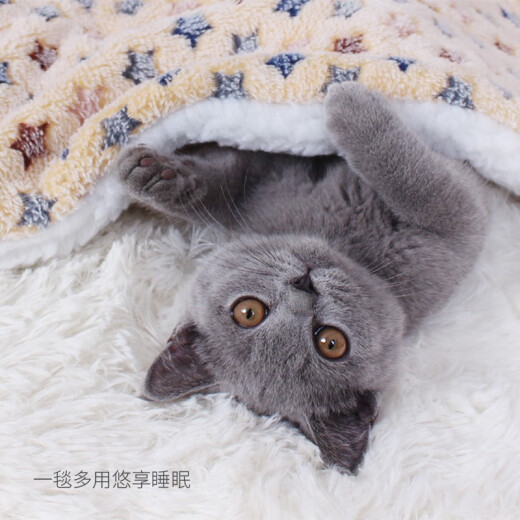 Hanhan pet dog mat cat mat pet cotton pad cover mat autumn and winter cat nest kennel Teddy pet nest mat supplies sleeping mat star yellow 70*50cm