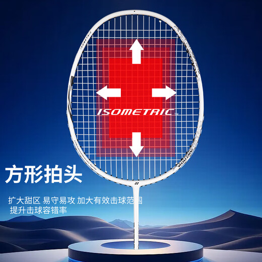 YONEX尤尼克斯羽毛球拍天斧进攻高磅全碳素进阶AX10白亮黑已穿线附手胶