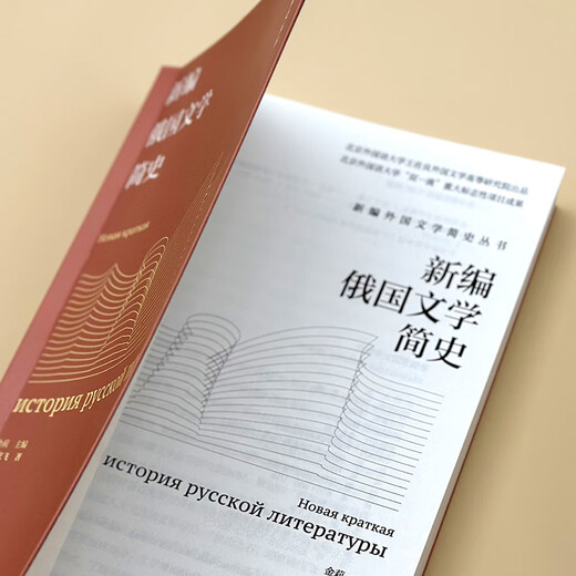 Eine neue kurze Geschichte der russischen Literatur (Reihe „Eine neue kurze Geschichte der ausländischen Literatur“)