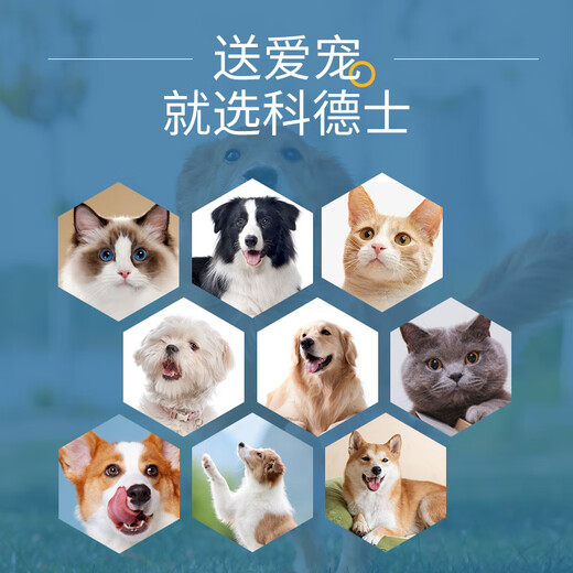 Codos pet shaver, dog hair clipper, dog hair clipper, cat hair clipper, large and small dog supplies 9200, package six, standard + 9.5mm blade