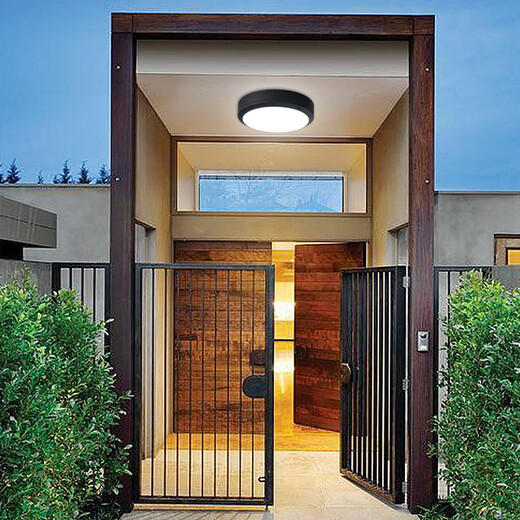 Villa gate light, outdoor ceiling light, self-built house gate ceiling light, door light on the door, outdoor waterproof balcony light, moisture-proof and insect-proof aisle light, circular corridor door light, LED diameter 27.5cm bronze + 30 watt LED chip