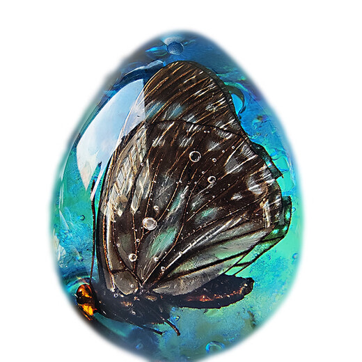 Huilu Insect Amber Pendant Natural Butterfly Specimen Insect Amber Necklace With Insect Animal Pendant Made Fashion Creative Single Side Polished Green Amber Crab With Lanyard