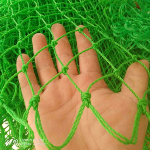 Baichao durable cyan fishing thickened handmade sturgeon net bag Daqing large material net large deepened fishing net big fish copy net Daqing net 24 strands caliber 40 deep 50 mesh 2 cm