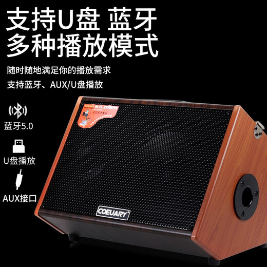 Coeuary Guitar Playing and Singing Speaker Bluetooth Charging Electric Box Acoustic Guitar Speaker Folk Playing and Singing Rechargeable Guitar Speaker 6.5-inch-60W+2 Wireless Microphones