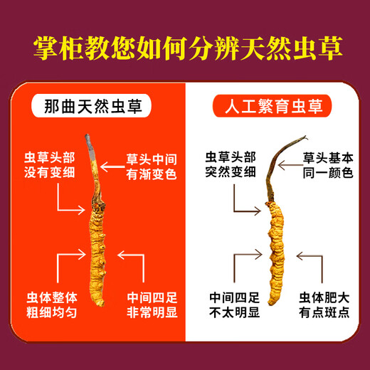 Dongzai [Narqu, Tibet] Wild Cordyceps sinensis hohe Höhe wilde Cordyceps sinensis tonische Geschenkbox für Älteste [Narqu, Tibet] 2 Wurzeln/G-High-End-Business 50G (Geschenkbox)