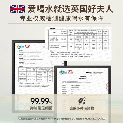 Good Lady of Taste Life British Good Lady Desktop Instant Hot Water Dispenser Filter Water Purifier Household Pure Drinking Machine Heating All-in-One Desktop Instant Hot Water Dispenser Small Mini Quick-heat Portable Dual Display 3 Liter Green Anti-bacterial + Mineral Filter + Stand Instant Heat Type