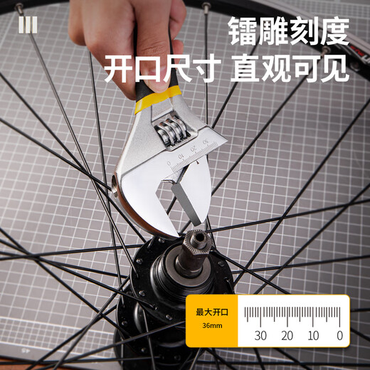 Deli (deli) plastic handle adjustable wrench universal live mouth multi-functional torque wrench 12-inch dual-purpose adjustable wrench DL120012