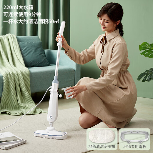 Liren steam mop household multifunctional high pressure and high temperature steam cleaner floor mop electric handheld cleaning floor mop ZTB-W1008