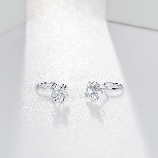 Saturday Fortune (ZLF) PT950 platinum earrings for women, platinum colorful forest ear hook style earrings 1.09g