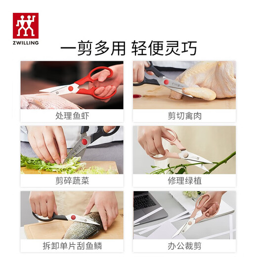 ZWILLING Tijeras de Cocina Hogar Tijeras Multifuncionales Alimentos Acero Inoxidable Tijeras de Cocina portátiles Desmontables Tijeras de Alimentos Verde Menta (con Funda de Tijera)