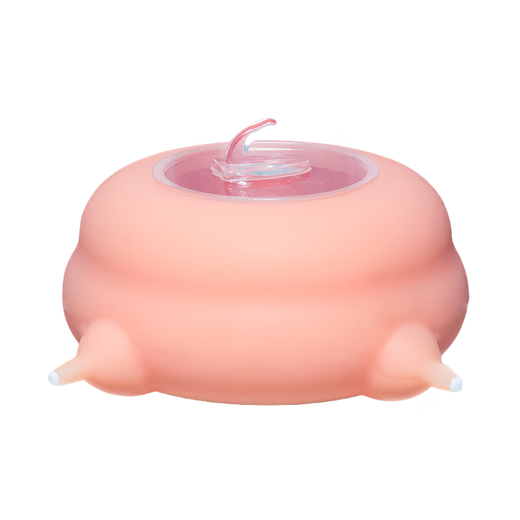 CLCEY Kitten Automatic Breastfeeding Kit Kitten Bionic Pacifier Breastfeeding Bottle Multi-cat Self-service Milk Drinking Artifact Green Recommended for kittens 0-30 days old