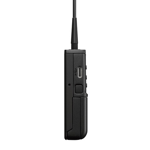 Sony (SONY) UWP-D21 Lavalier Wireless Microphone Little Bee Microphone Micro SLR Camera Camera Mobile Live Broadcast D11 Upgrade UWP-D21 Official Standard No Battery Included