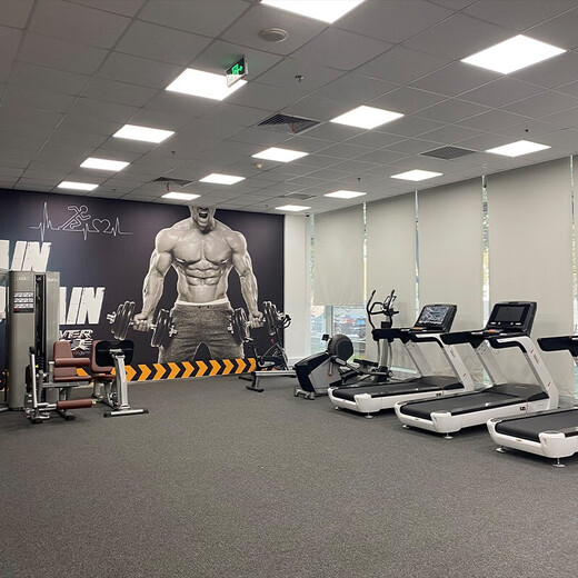 Fanatiker Crazy Latte Pull-up Training Machine Arm Latsimus Dorsi Training Haushalt kommerzielle multifunktionale Ausrüstung FS-9928 Pull-up-Trainingsmaschine