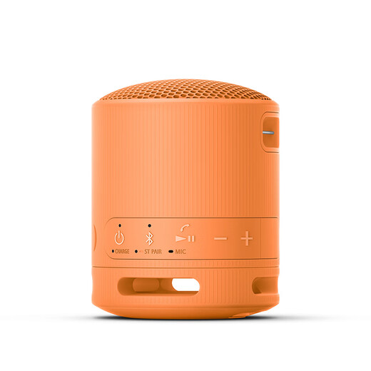 Sony (SONY) SRS-XB100 Bluetooth Speaker Mini Portable Subwoofer 16 Hours Battery Life Outdoor Speaker Waterproof and Dustproof Orange Gift