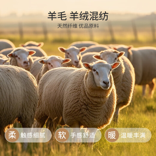 K-Boxing Men's Sheep Wool Men's Sweater Skin Friendly Breathable Bottoming Shirt for Men|FYET3346 Sunset Orange 175/L