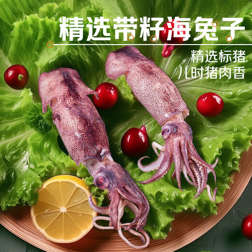 Aiwei Winnie Sea Rabbit Full of Seeds, Sea Rabbits with Seeds, Fresh Live Cooked Frozen Pen Tube Fish, Large Cuttlefish, Soft-footed Seafood Hot Pot BBQ, Sea Rabbits 500g*2 Bags 1kg (Net Weight)