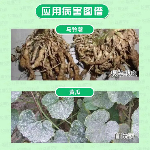 Bayer Germany Rufuda fluopyram tomato root-knot nematode cucumber powdery mildew pesticide fungicide 100ml