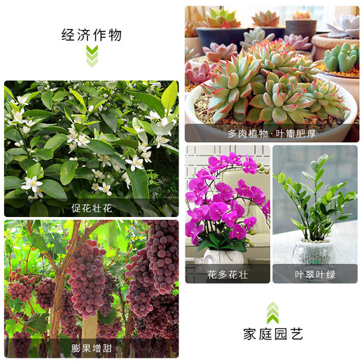 Dugo potassium dihydrogen phosphate foliar fertilizer for agriculture general phosphorus and potassium fertilizer for flowers, fruit trees and vegetables special flower fertilizer water-soluble fertilizer 1kg