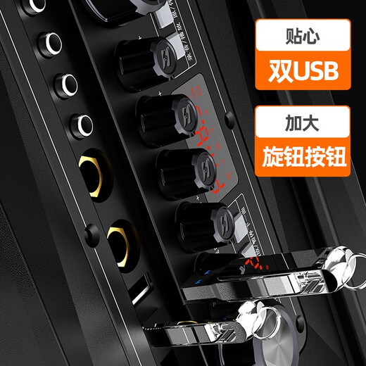 SANSUI outdoor karaoke rod audio high-power heavy bass square dance audio portable smart speaker with microphone 12-inch A12 electric acoustic guitar folk instrument speaker