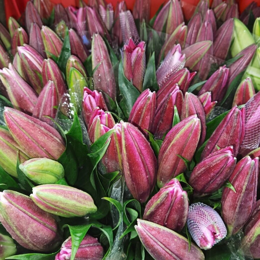 Yunnan Kunming base direct hair festival water-raised flowers bouquet perfume lily life flowers and flowers 10 red lilies (collection of preservatives)