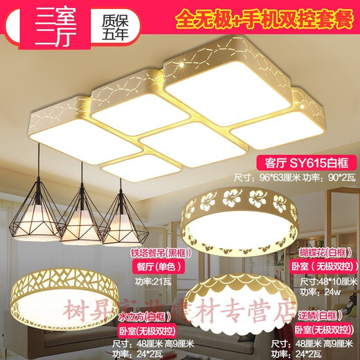 套房灯具全套 三房两厅中式家庭灯具套装LED吸顶灯客厅灯卧室灯长方形餐厅灯现代简约套餐组合套装成套灯 青色 （三室二厅E）