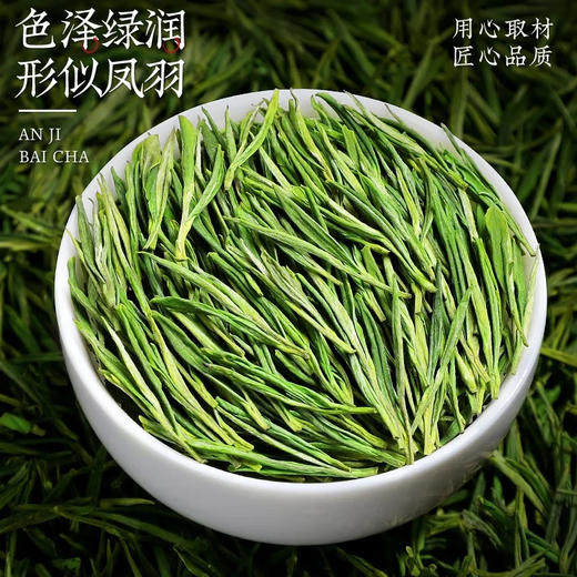 Chen Yifan rare white tea tea green tea Anji Baiye No. 1 tea tree fresh leaves and buds rare white tea 50g Chen Yifan rare white tea tea green tea Anji Baiye No. 1 tea tree fresh leaves and buds rare white tea 50g
