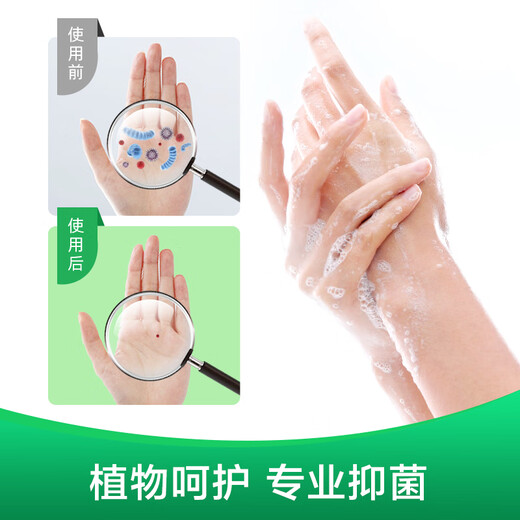 Dettol hand sanitizer, effective antibacterial 99.9%, healthy and clean hand sanitizer for children, babies and the whole family, easy to rinse, classic pine 500g*2 bottles