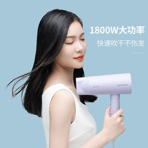 FLYCO high-speed hair dryer household negative ion constant temperature hair care high wind speed drying bass portable hair dryer for dormitory students negative ion hair care FH6277 1800W high power