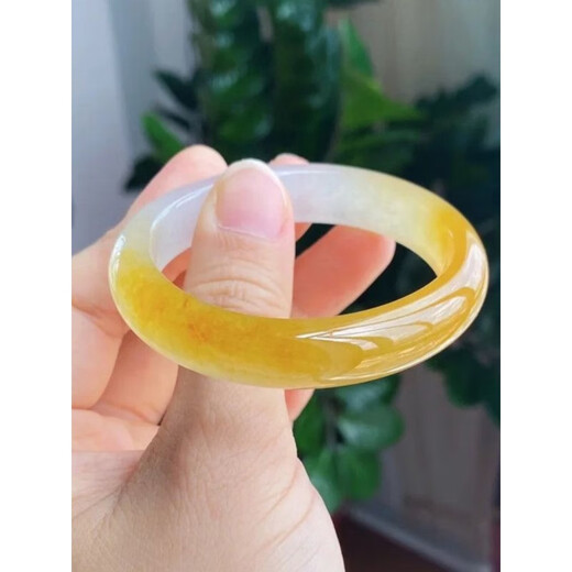 Ancient Burmese imported yellow dragon jade bracelet, ice jade bracelet for women, natural jade, topaz, jade, yellow jade, gold silk jade, inner diameter 53-54