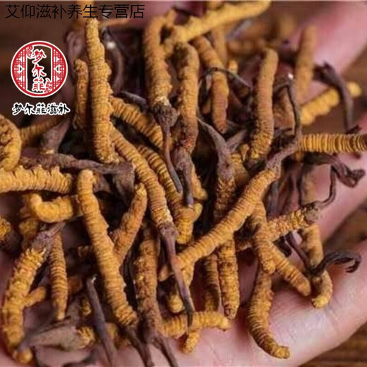 Ivanmai Authentic Cordyceps Cordyceps Cordyceps Cordyceps Nicht geschnittene Grasrohr-installierte super große Wurzel Geschenkbox