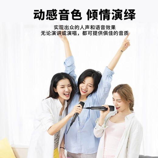 Sony Ericsson (soaiy) home theater KTV audio set living room home TV singing karaoke commercial store conference equipment karaoke full set of professional amplifier speaker microphone combination CK-M6