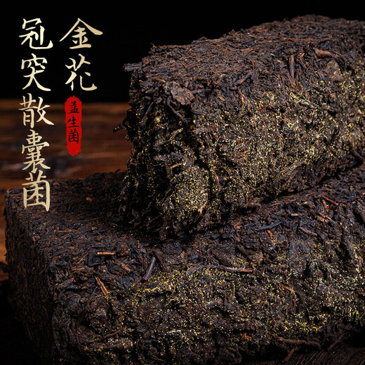 Anhua Black Tea Black Tea Hunan Anhua Genuine Authentic Anhua Black Tea Aged Hand-Built Golden Flower Fu Brick Tea Tianjian Randomly Delivered