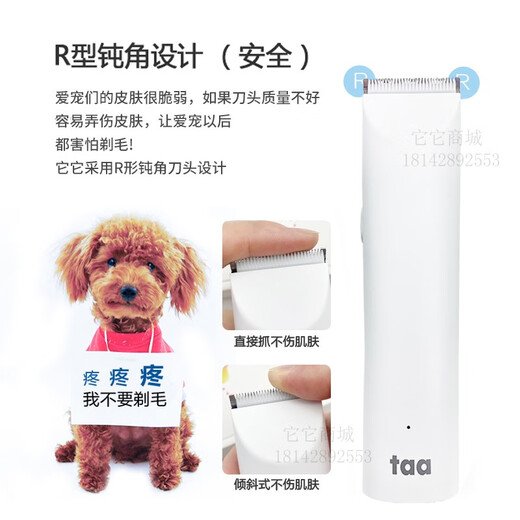 TAA Taiwan It It professional electric clipper pet M1 dog shaver electric clipper cat Teddy razor electric clipper M1 white body + 4 heads 6 hours of battery life