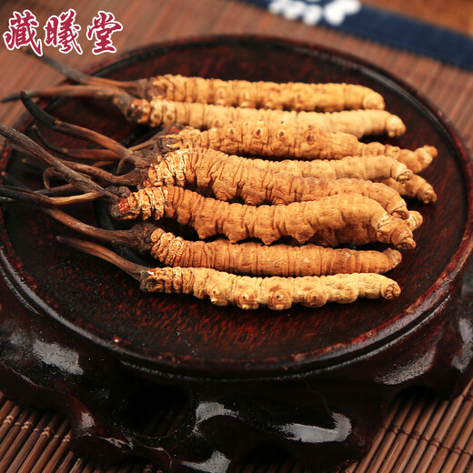 Zangxi hall tibet nagqu cordyceps haute altitude cordyceps cordyceps cordyceps cordyceps 2 1 gram intérieur 100 grammes