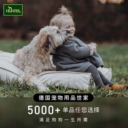 HUNTER imported from Germany, dog-specific hair comb, pet self-cleaning care comb to remove floating hair, self-cleaning artifact, self-cleaning care comb-straight needle, large size