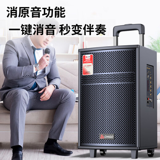 CHIGO square dance Bluetooth speaker subwoofer outdoor large volume outdoor karaoke sound card audio playing and singing 15-inch Bluetooth speaker flagship version