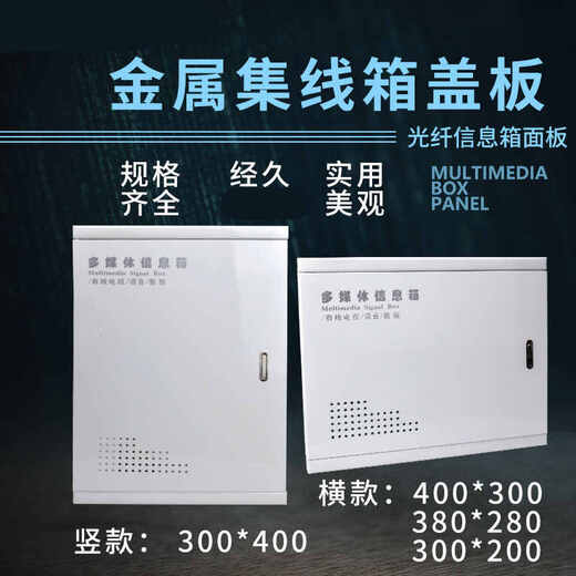 Panneau de boîte de hub multimédia ménage 300*200 couvercle de boîte de courant faible 400*300 boîte d'information réseau couvercle en fer type B double trou petite taille 300*200