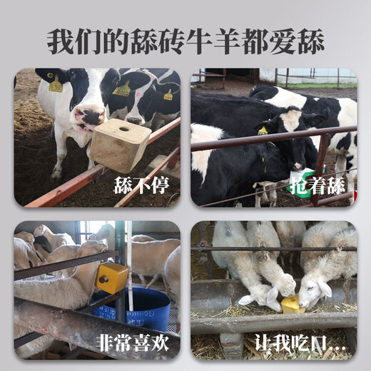 Baiyun Mugang Cattle and Sheep Licking Bricks Salt Bricks for Cattle and Sheep Nutritional Trace Elements Reinforced Mineral Feed Additives Pica and Stomach High Calcium Type Licking Bricks 2 boxes (a total of 80Jin Jin is equal to 0.5kg)