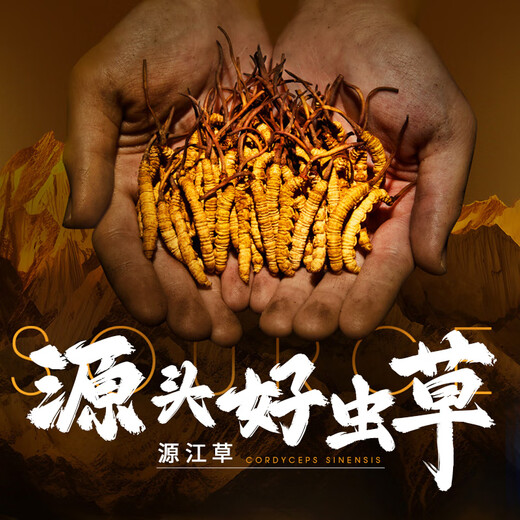 源江草 冬虫夏草4根/g 5克约20根头茬虫草礼盒 送礼滋补品送长辈父母